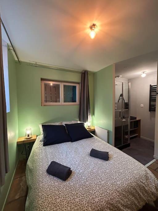 Le Cosy Balat Biel Rdc Jardin Spacieux Grisolles  ภายนอก รูปภาพ